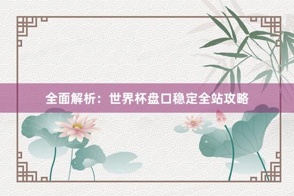 全面解析：世界杯盘口稳定全站攻略